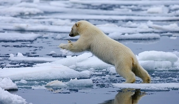 Klimaatverandering in bestuursverslag