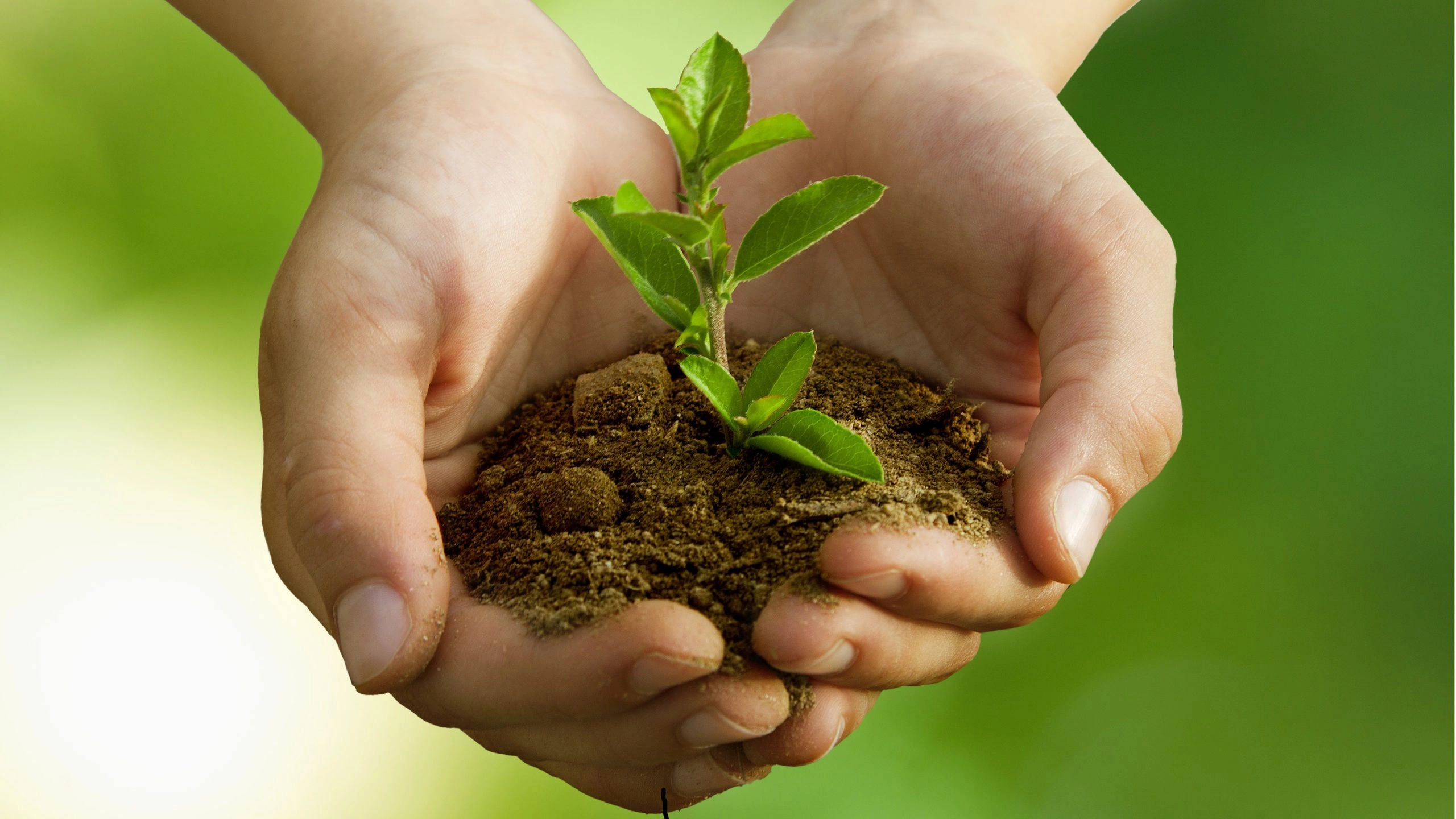 Vanaf 2017 meer CSR informatie in bestuursverslag