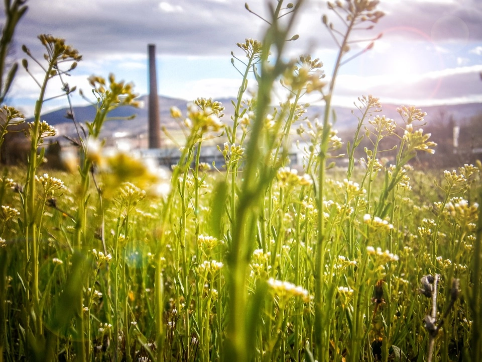 Innovatie leidend in energietransitie voor organisaties
