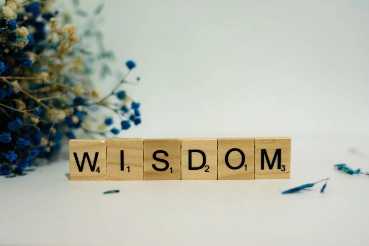 Wat is wijs toezicht?