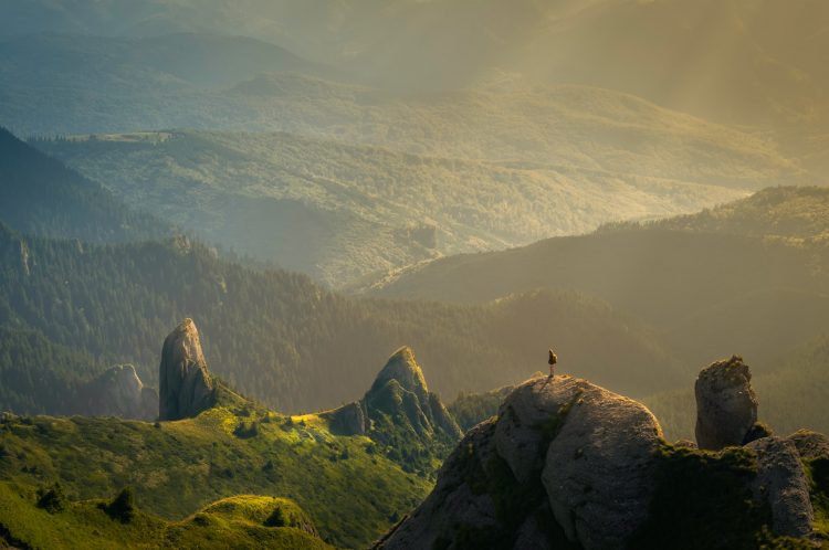 Bron afbeelding: david-marcu Unsplash